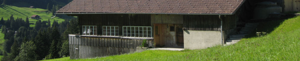 Bauernhaus Adelboden